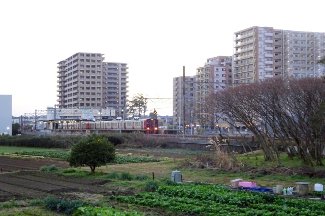 冬の夕暮れ弥生が丘駅