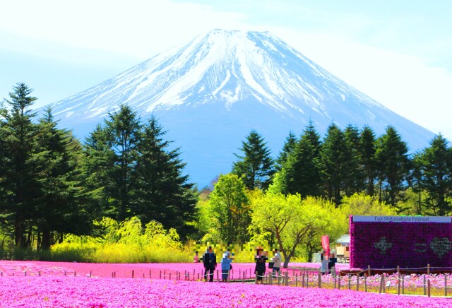 富士山