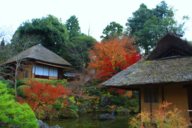 冬の京都