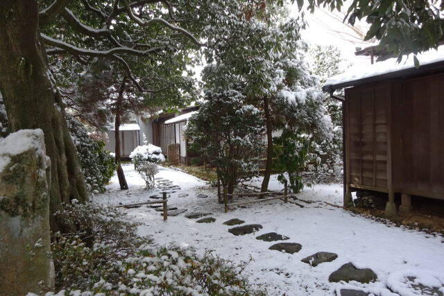 雪が止んだ朝