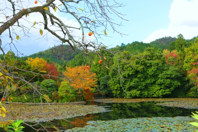 竜安寺