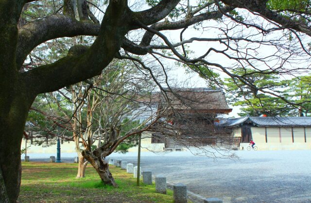 京都御所