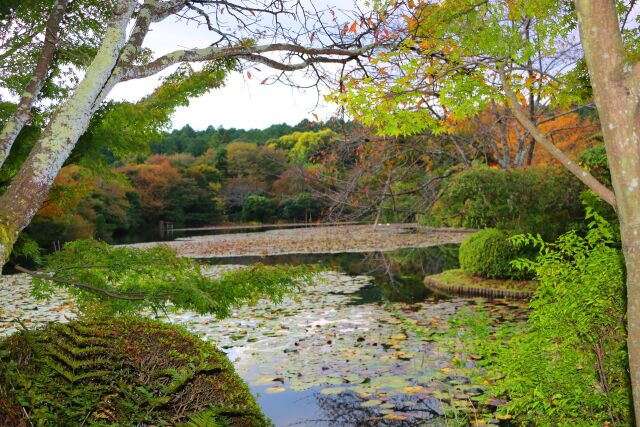 竜安寺