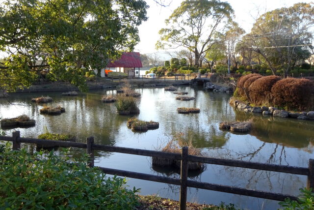 夕暮れの公園