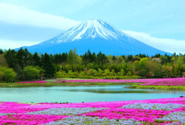 富士山