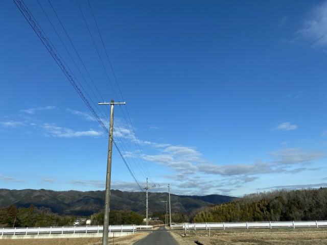 田んぼ道