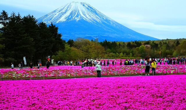 富士山