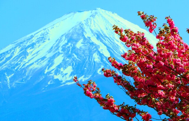 富士山