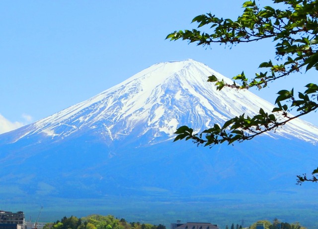 富士山