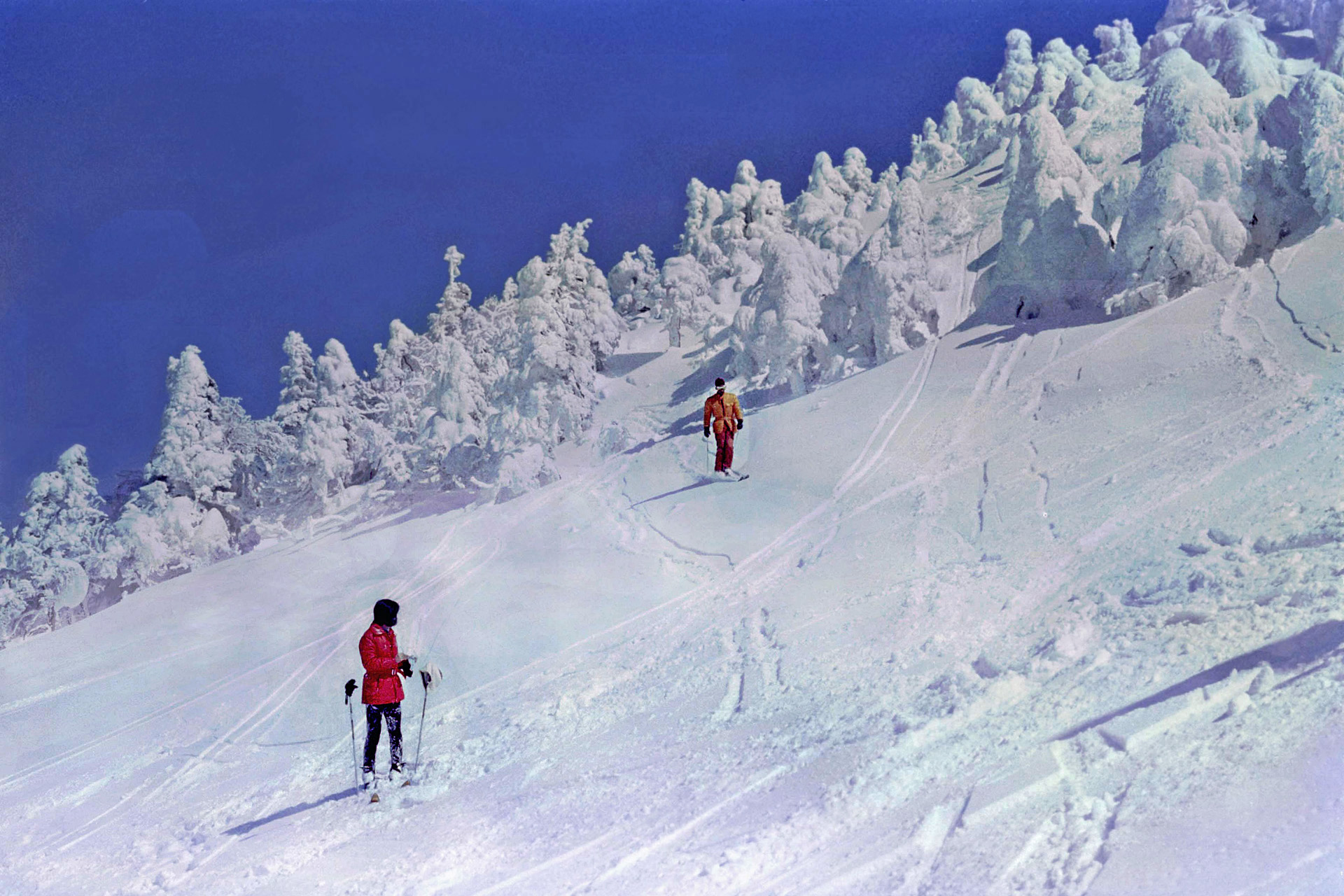 日本の風景 樹氷林を抜けて一息 1975年 壁紙19x1280 壁紙館