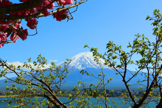 富士山