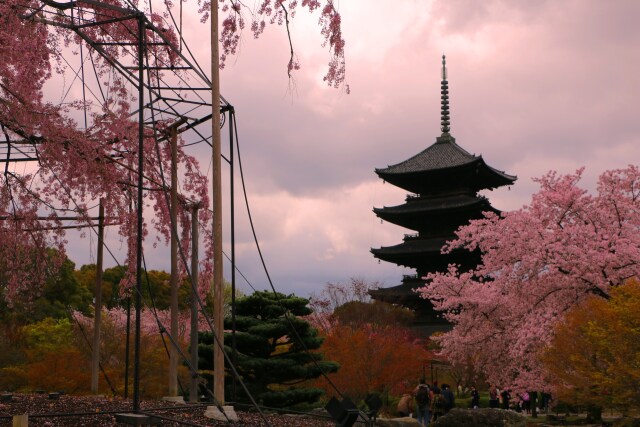 東寺