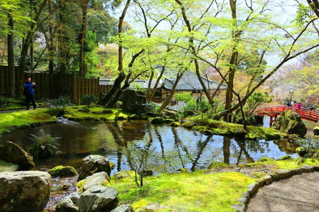 醍醐寺