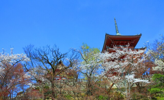 清水寺