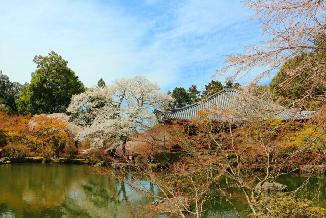 醍醐寺