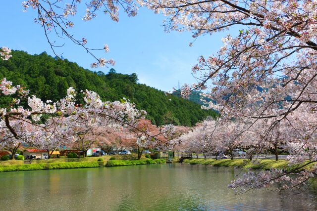 下北山村