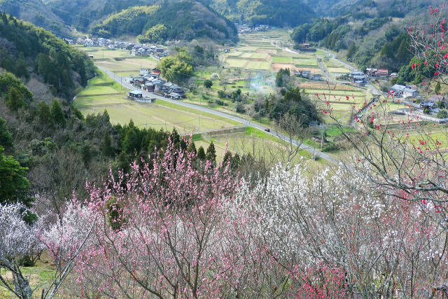 早春の山里 3