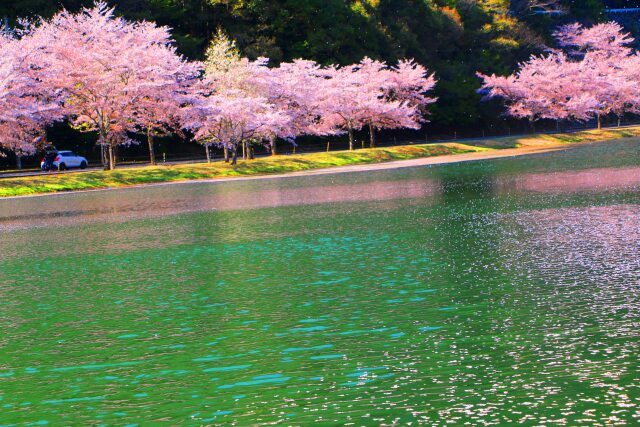 下北山村