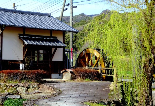 新緑柳の水車小屋