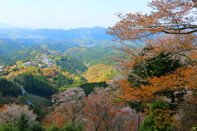 吉野