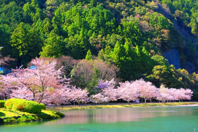 下北山村