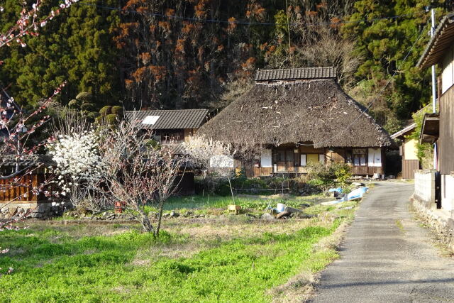 山里の春景色