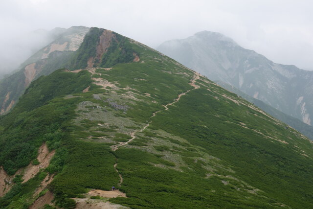 クマさんの居た山