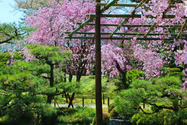 平安神宮