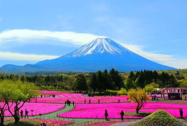 富士山