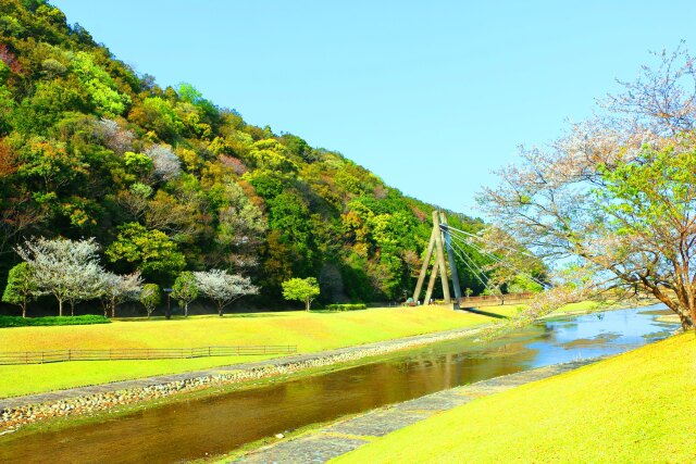 春の公園