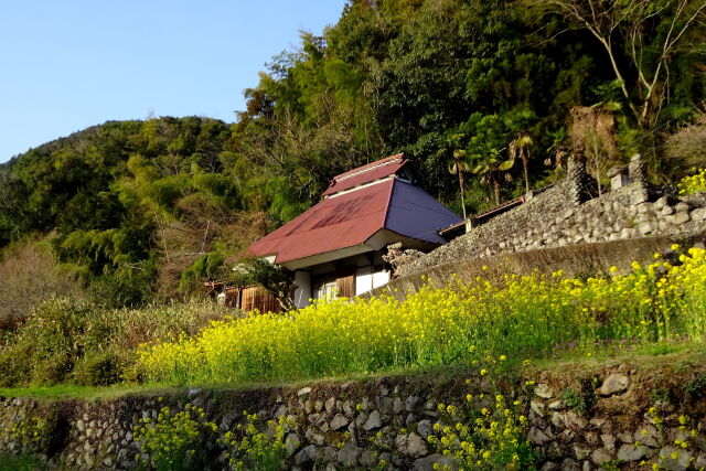 山里の春景色