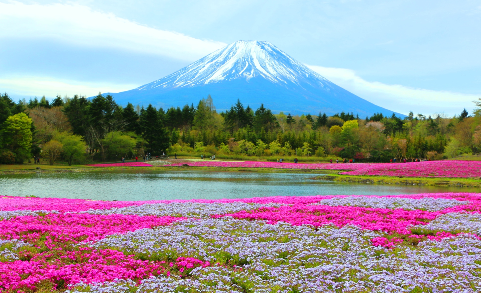 日本の風景 富士山 壁紙19x1172 壁紙館