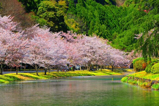 下北山村