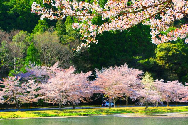 下北山村