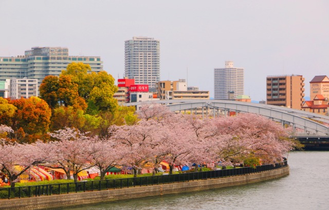 大阪城公園