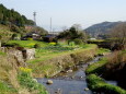 山里の春景色