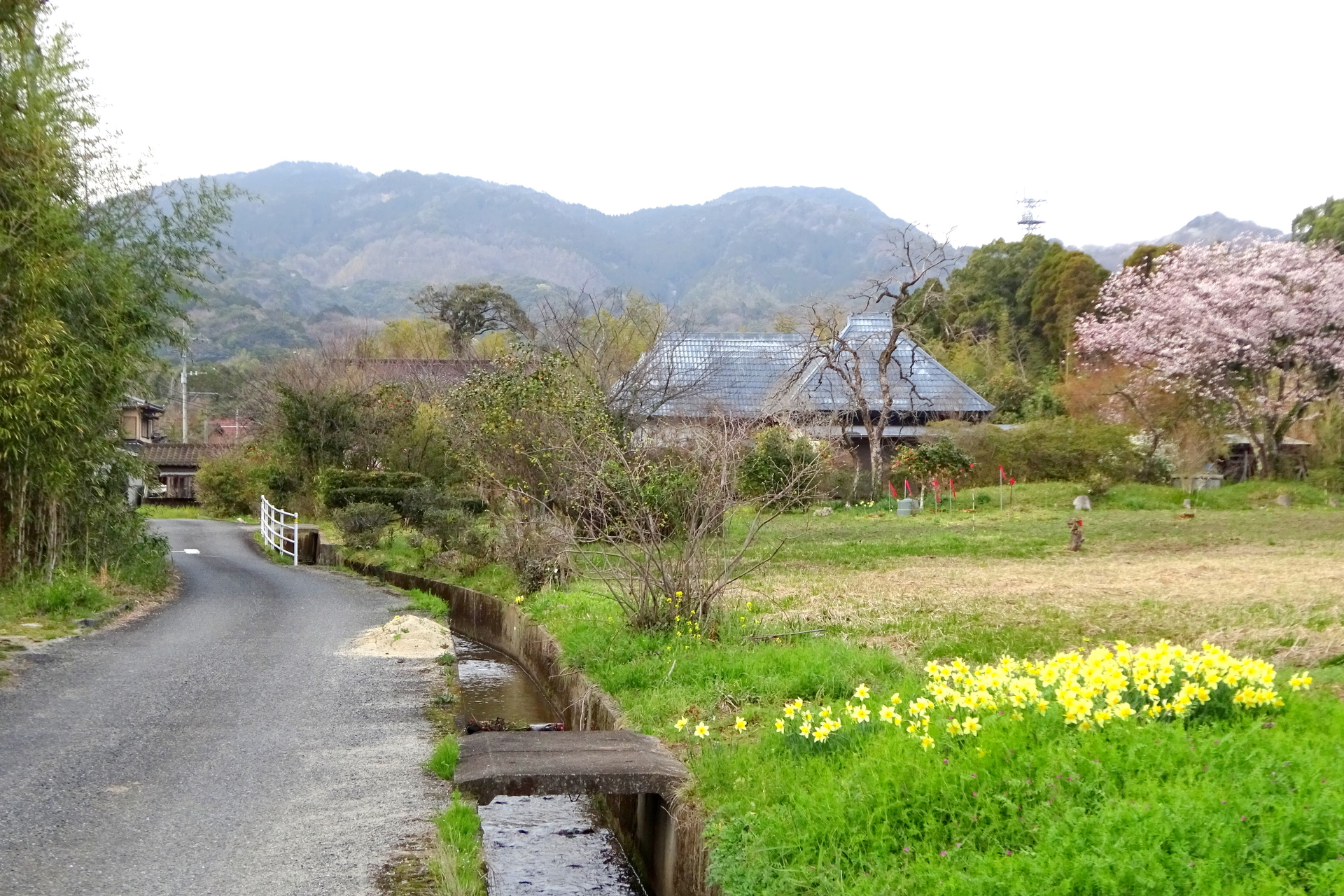 日本の風景 里の春景色 壁紙19x1280 壁紙館