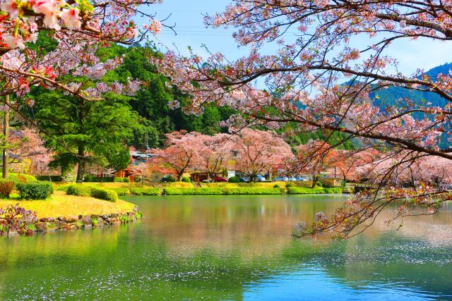 下北山村