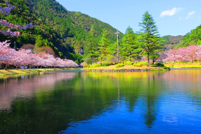 下北山村