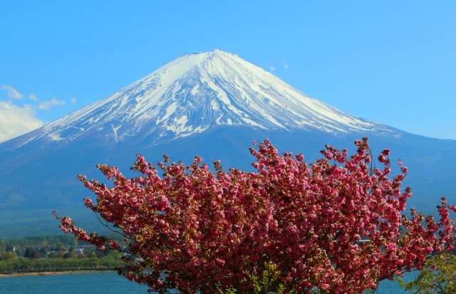 富士山