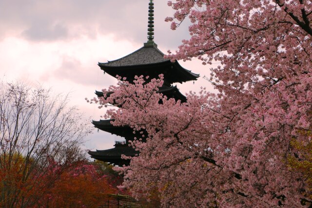 東寺