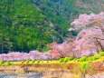 下北山村