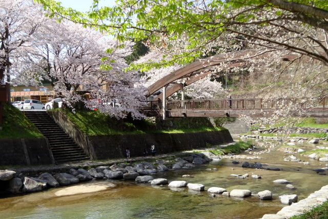 川の公園の春景色