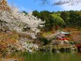 醍醐寺