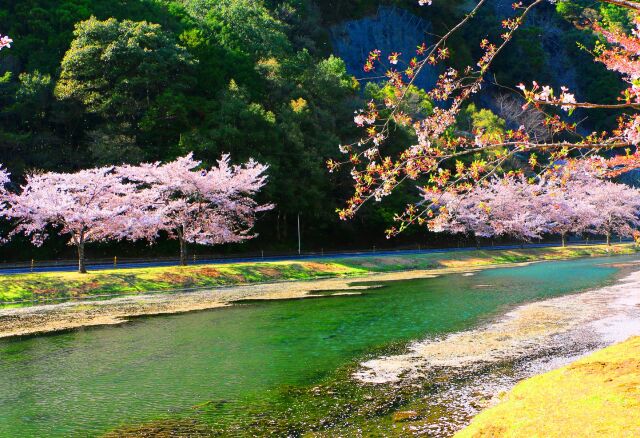 下北山村