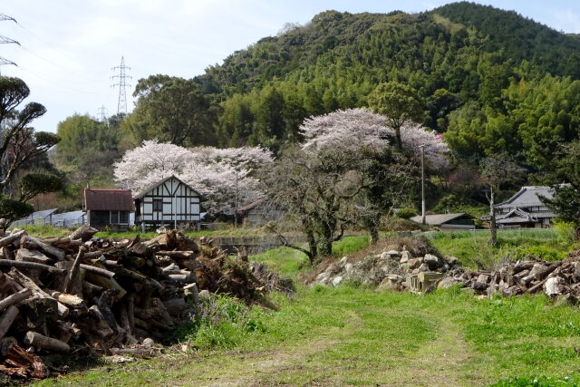 里の春景色