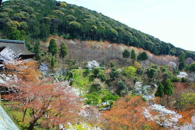 清水寺