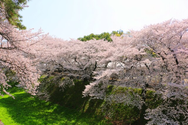 名古屋城