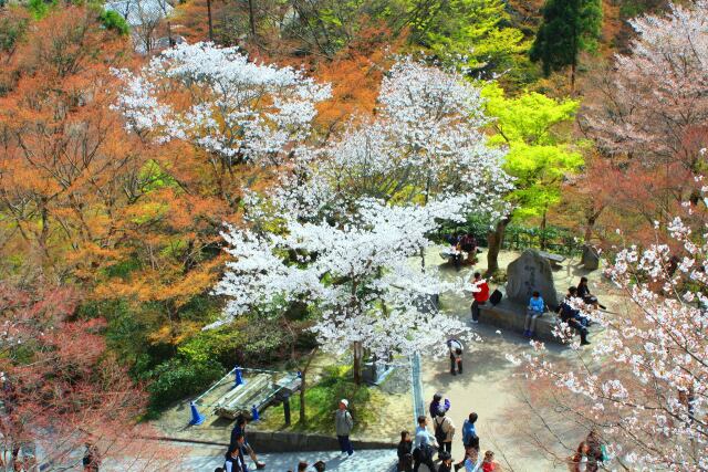 清水寺