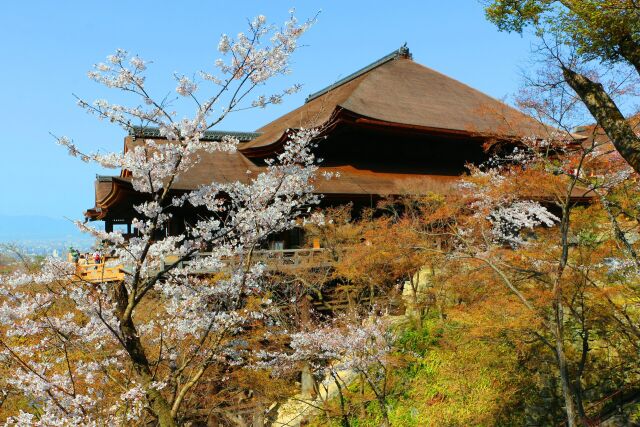 清水寺2021.3.26